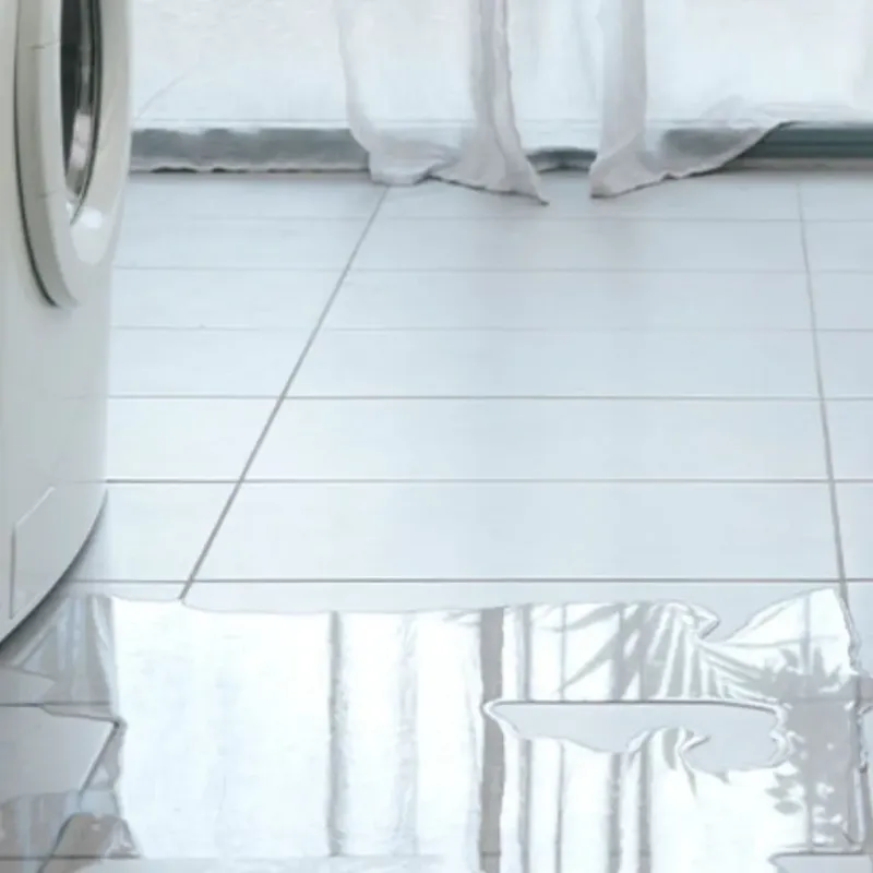 Appliance Leak Cleanup in Hyde County, NC