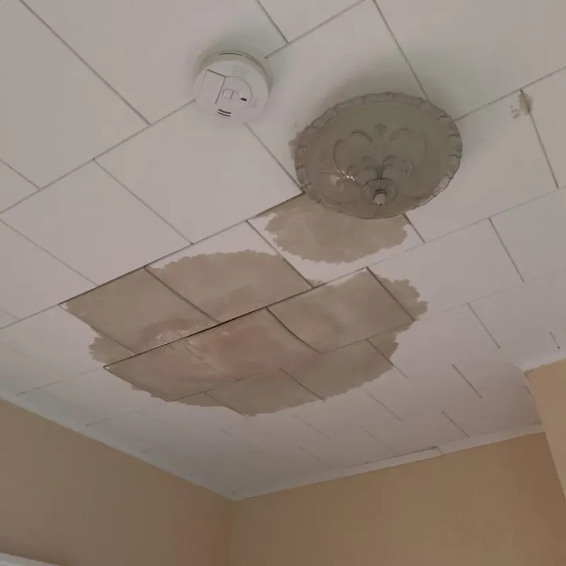 Ceiling Water Damage Repair in Hyde County, NC