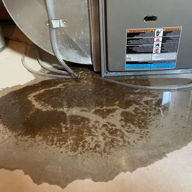 Pipe Burst and Leak Restoration in Hyde County, NC
