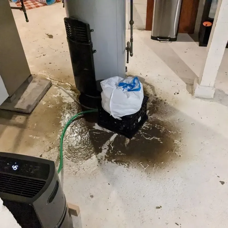 Sewage Backup Cleanup Service in Hyde County, NC